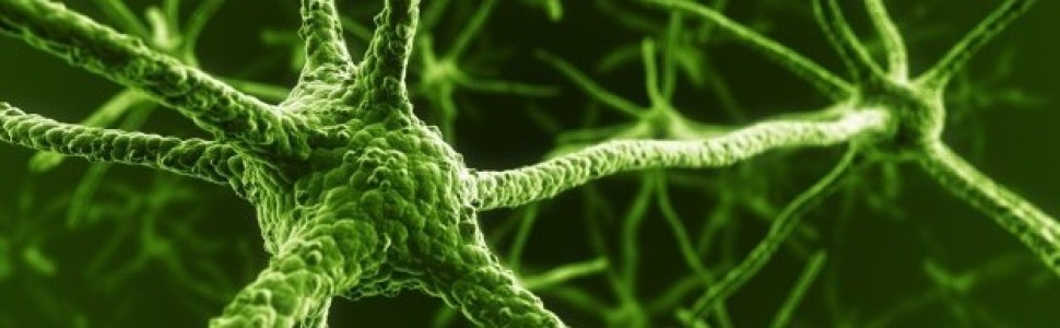 Natalizumab w stwardnieniu rozsianym