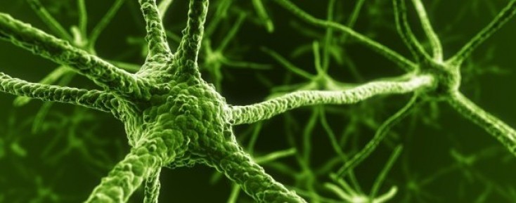 Natalizumab w stwardnieniu rozsianym