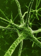 Natalizumab w stwardnieniu rozsianym